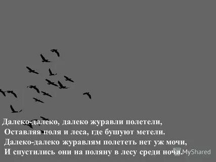 Ждамиров улетели журавли