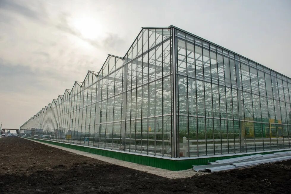 Теплицы в приморском крае. Суражевка теплицы вгуп. Суражевка приморский край агрокомплекс. Лазаревское тепличный комплекс. Хохряки тепличный комбинат.