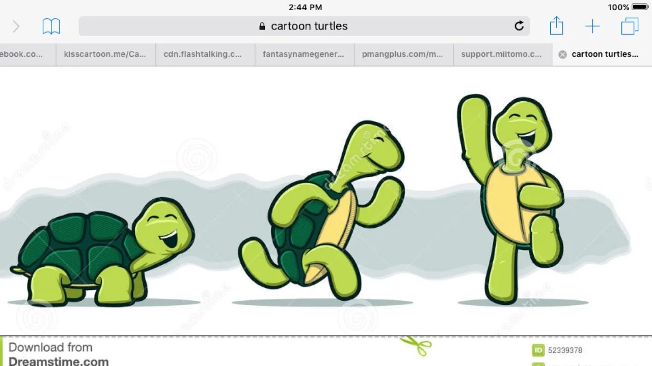 T1 turtle