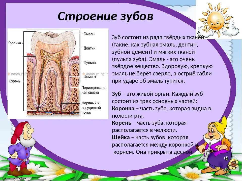 Выпадают зубы причины. Выпадают зубы причины