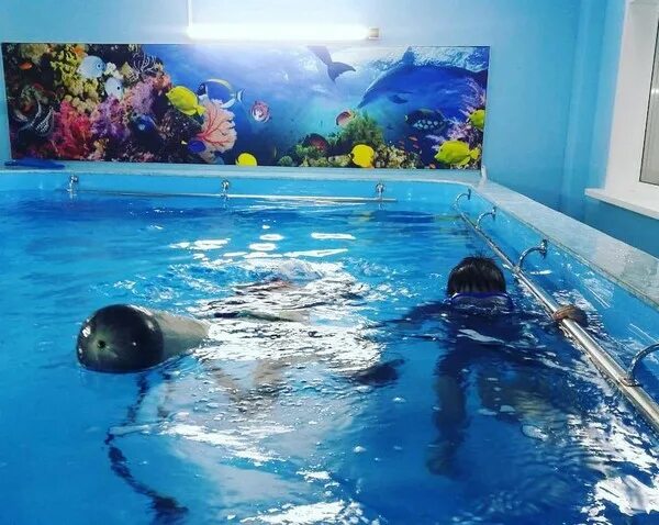 Бассейн усмань. Бассейн новая усмань воронеж. море детства новая усмань акваклуб. бассейн новая усмань. бассейн усмань липецкая область.
