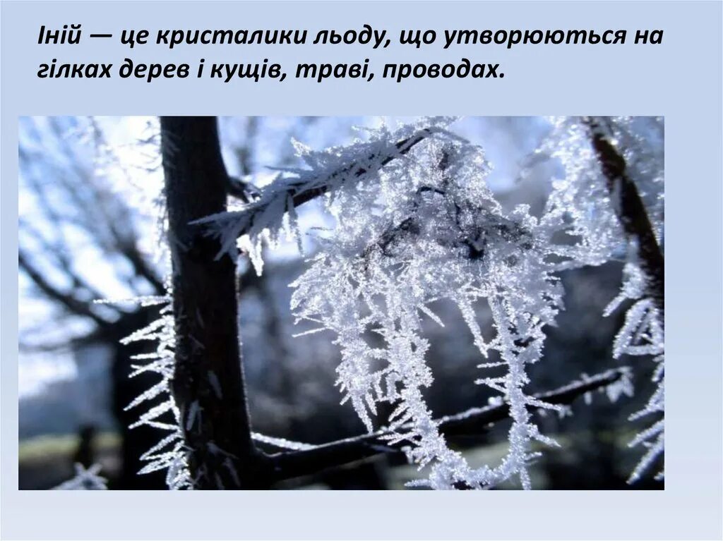 Иней на проводах. Зима на проводах песня. Обледенение линий электропередач. Сделать кристалики на ветках. Снег на проводах песня.