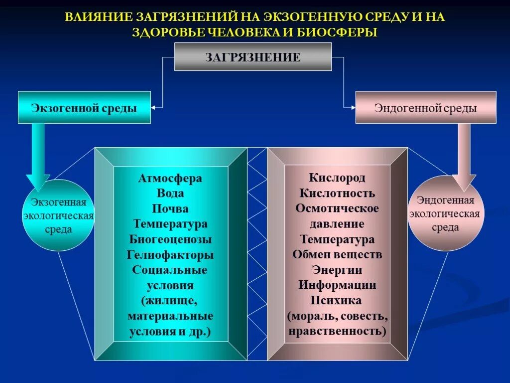 Проект влияние загрязнения на человека и биосферу Effect Of Water Pollution World save YouTube