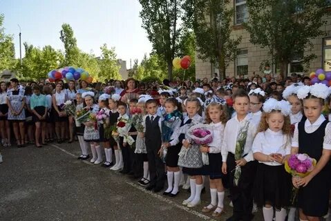 Сетевой город камышин волгоградская область школа 8