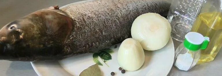 Как засолить толстолобика кусочками. Рассол для толстолобика. толстолобик соление. засолка толстолобика в домашних. засолить толстолобика.
