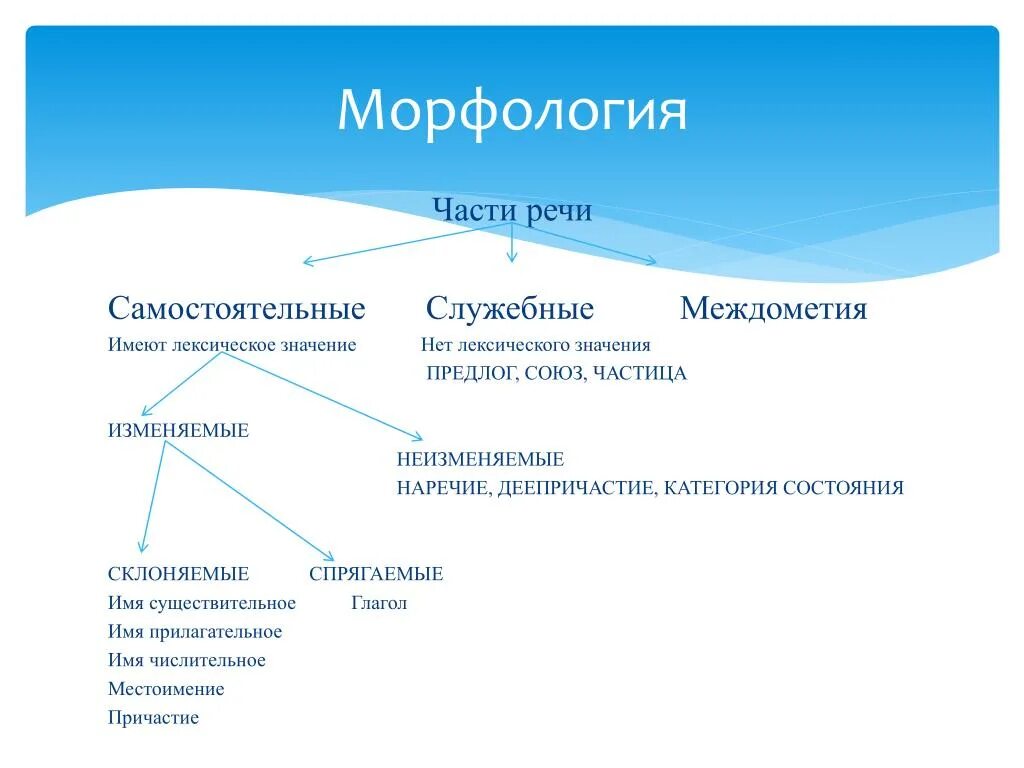 Морфологический анализ в русском языке 5. Морфология самостоятельные части речи. Морфология классификация частей речи в русском языке кратко. Морфология самостоятельные и служебные части речи 5 класс. Что изучает раздел морфология.