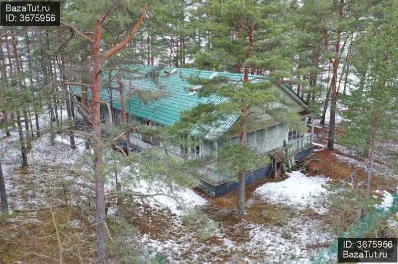 Погода вязы ленинградская область. Погода вязы ленинградская область. Снт вязы 313. Погода вязы ленинградская область. Поселок вязы.