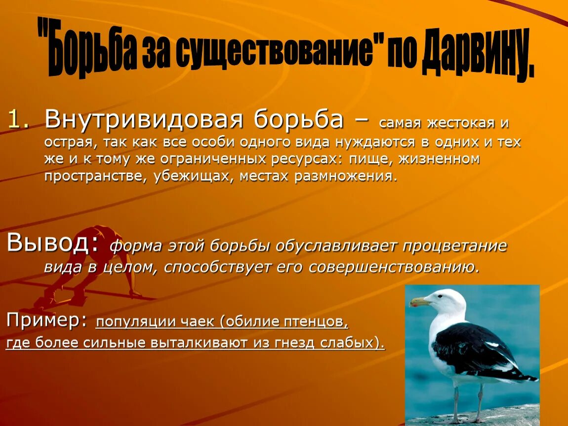 Борба за существование. Борьба за существование конкуренция. Внутривидовая борьба самая жестокая. Внутривидовая форма. Борьба за существование и естественный отбор конспект