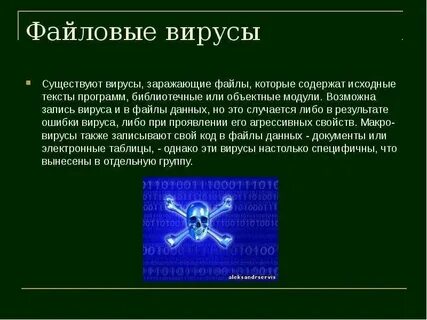 Особенности существования вирусов