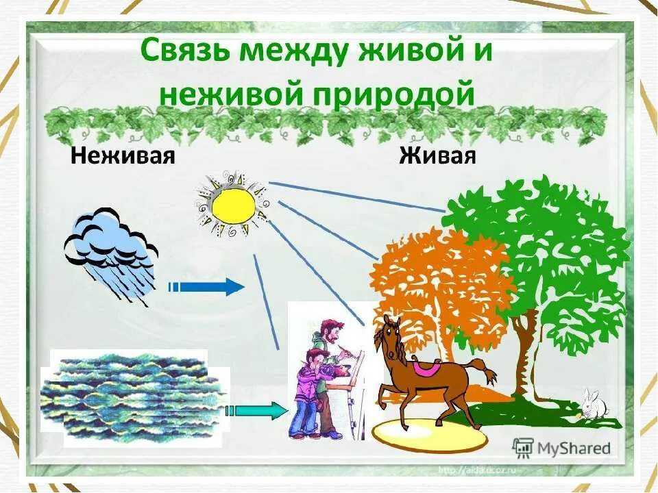 Природные связи между объектами. Схема связи живой и неживой природы 2 класс окружающий мир. Схема взаимодействия живой и неживой природы 2 класс окружающий. Связь между живой и неживой природой. Сачзи живой и не живой природы.