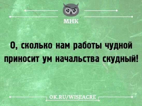 Начальство глупее. Смешные цитаты о руководителе. Смешные фразы от начальника. Цитаты про начальников дураков. Фразы про начальника.