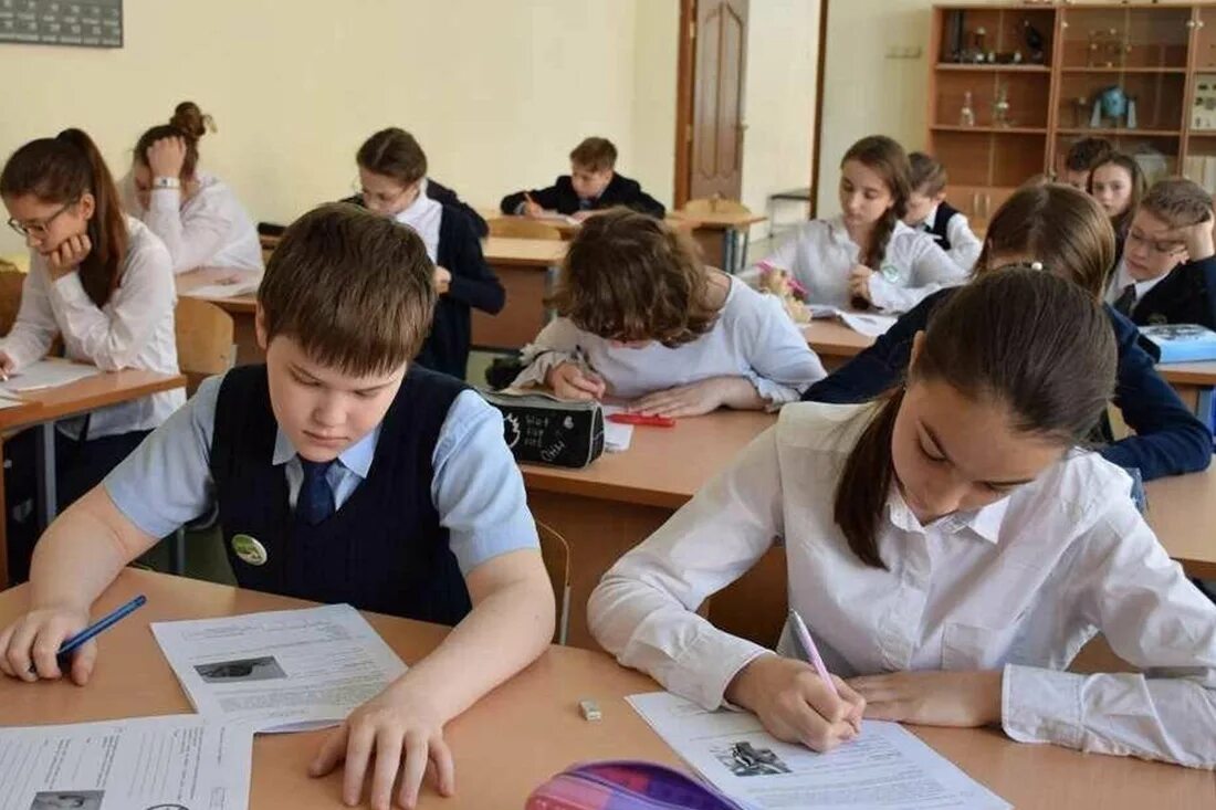 Впр 7 класс ученику. Контрольная в школе. дети пишут впр. контрольная работа в классе. класс пишет контрольную работу.