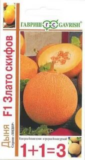 Дыня злато скифов
