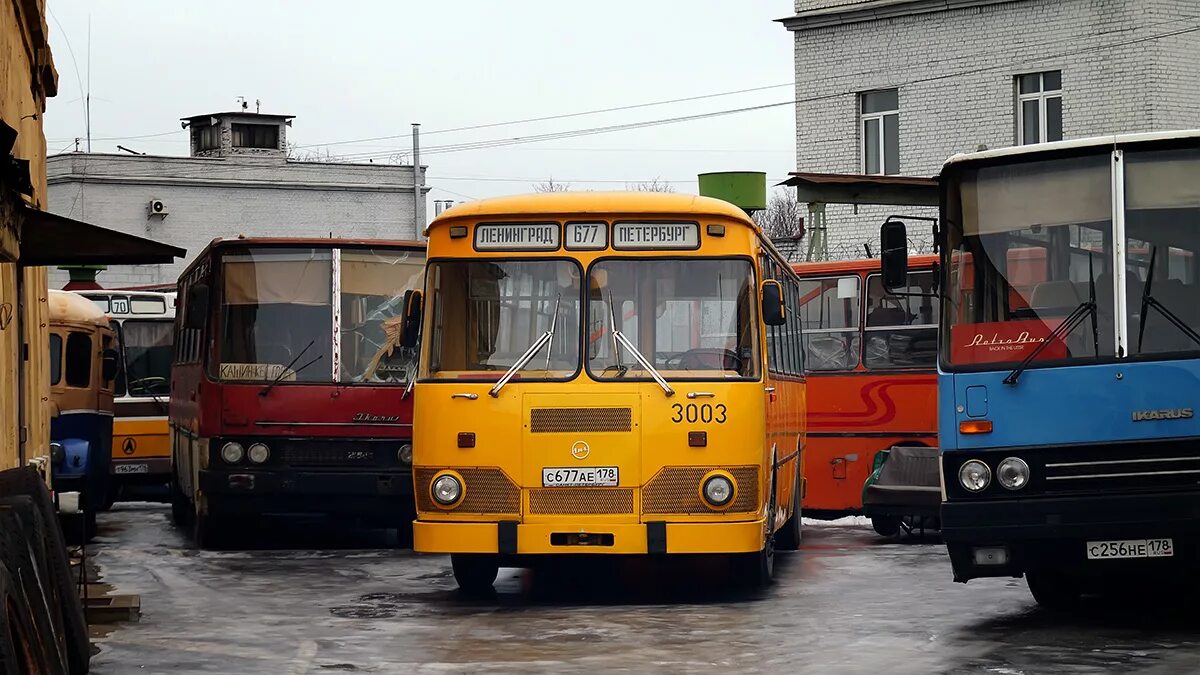 Икарус 263 коми. 273 автобус. Лиаз 2022. Лиаз 5293. Лиаз 5293.