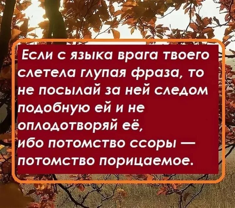 Мусульманские статусы. Мусульманские цитаты со смыслом. Исламские цитаты со смыслом.