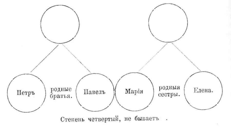 Родные братья и сестры это