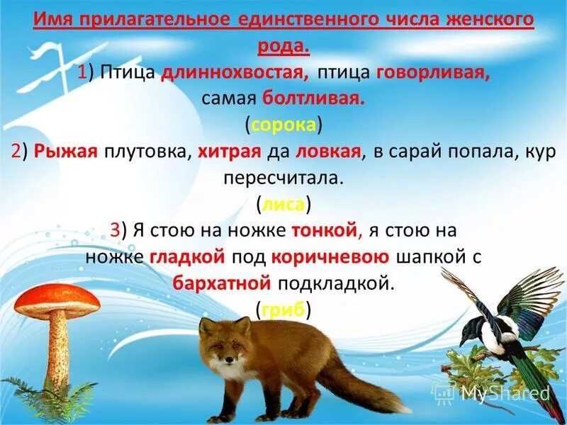 описание прилагательных на английском. как определить разряд прилагательное. важный прилагательное. прилагательных фактов. как пишется слово жизненно важный.