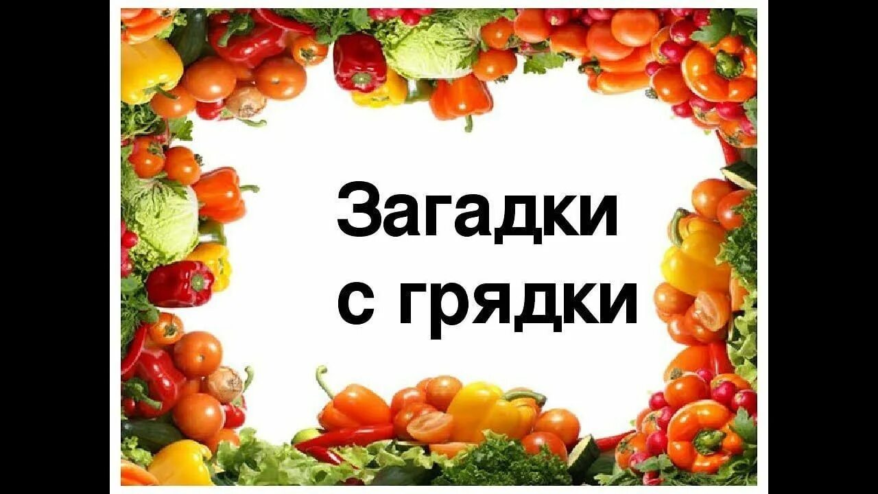 Овощи рисунок. Загадки с грядки. Загадки с грядки рисование в старшей. Овощи на грядке рисование средняя группа. Овощи для рисования детям.