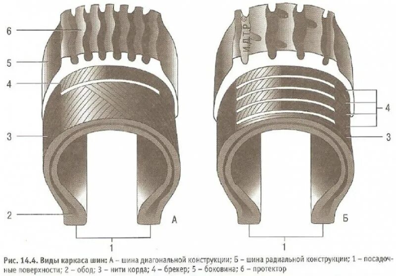 Конструкция автомобильной шины. Конструкция шины. Радиальная и диагональная шина различия. Схема покрышки колеса автомобиля. Конструкция шины грузового автомобиля.