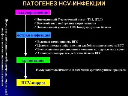 Парентеральные инфекции вопросы