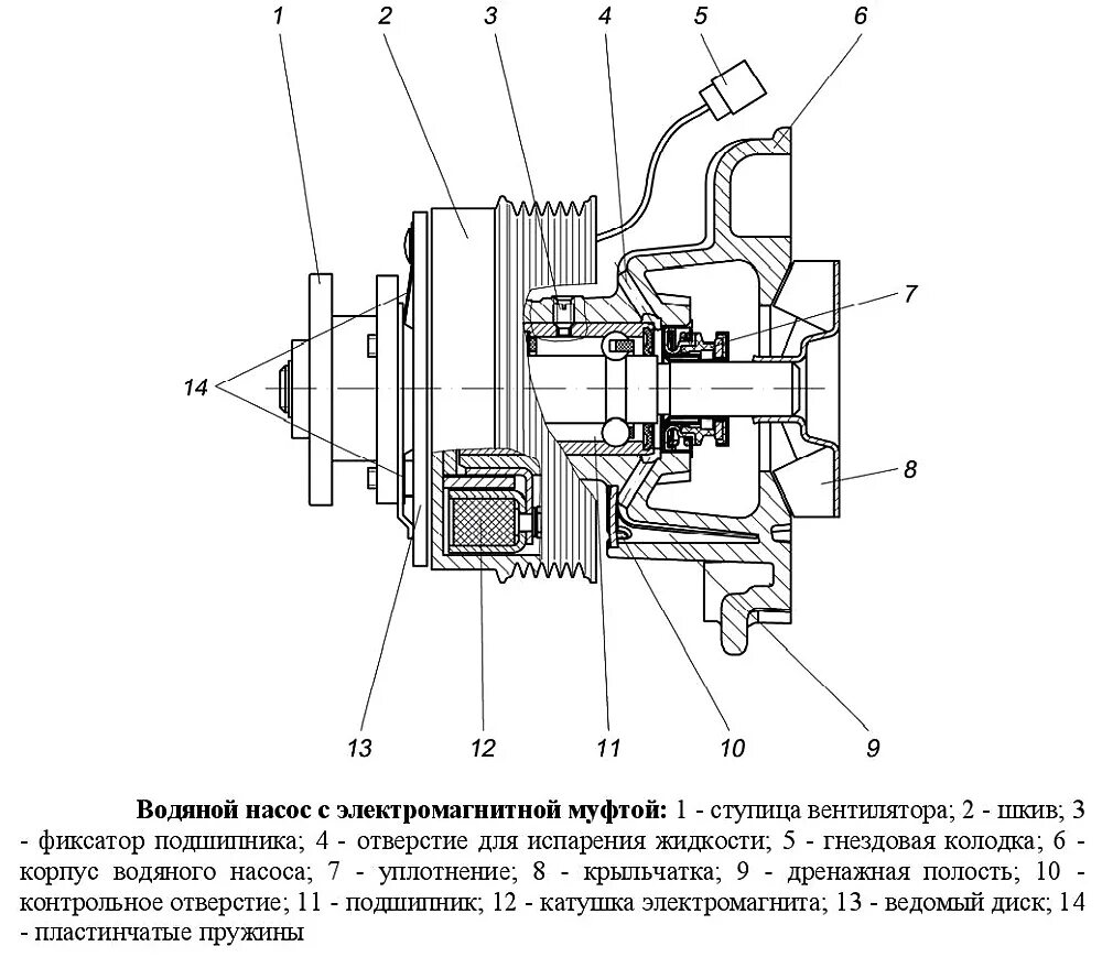 Принцип водяного насоса. Муфта вентилятора охлаждения Газель 405. Насос охлаждения ЗМЗ 406. Электромагнитная муфта включения вентилятора КАМАЗ. Помпа с электромагнитной муфтой ЗМЗ 405 схема.