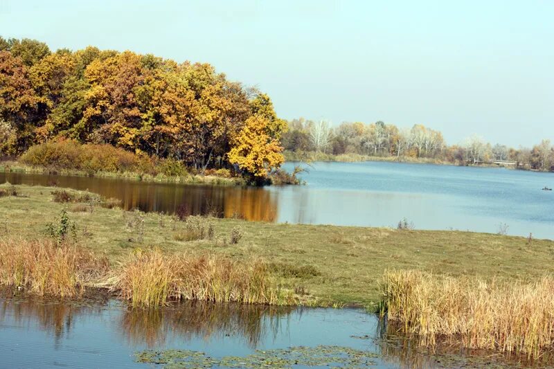 Река в полтаве. Борисовка белгородская область река ворскла. Троекуровская гэс лебедянский район. Город полтава река ворскла. Город полтава река ворскла.