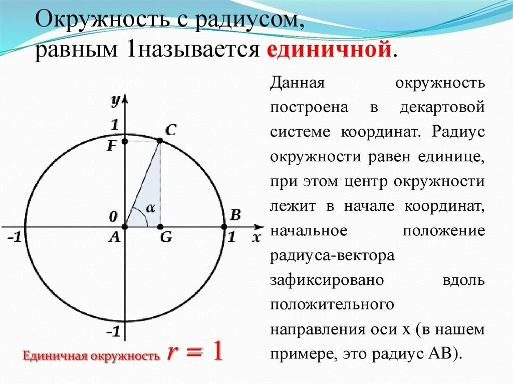 Положительное направление окружности. Вращательное движение по единичной окружности. Радианная мера угла 10 класс окружность. Радианная мера угла вращательное движение. Единичная окружность радианная мера угла.