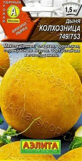 Дыня колхозница описание