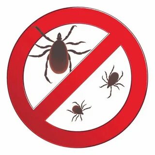 Get those bugs