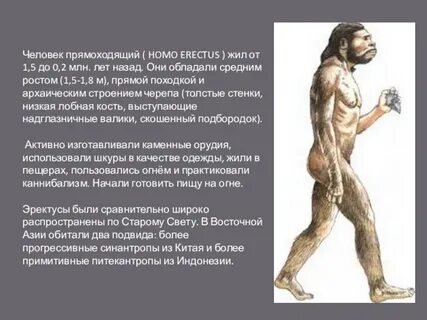 1 прямоходящий человек