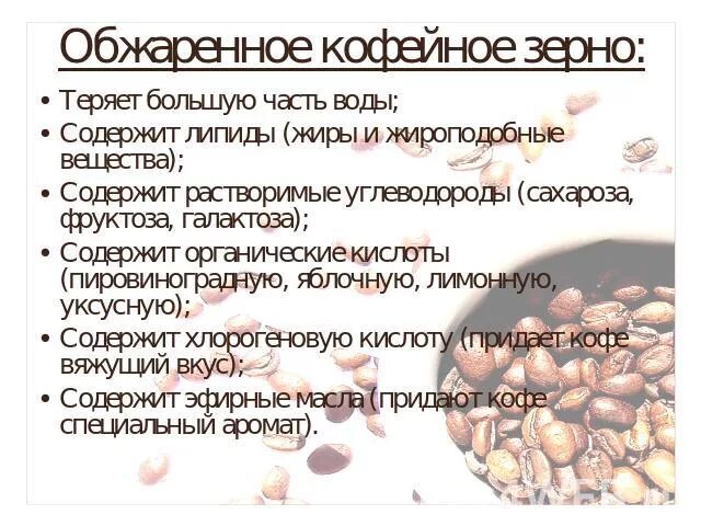 Вещество содержащееся в кофе. Состав кофейного зерна. какие вещества содержат жареные зерна кофе. что содержит кофейное зерно. из чего состоит кофейное зерно.
