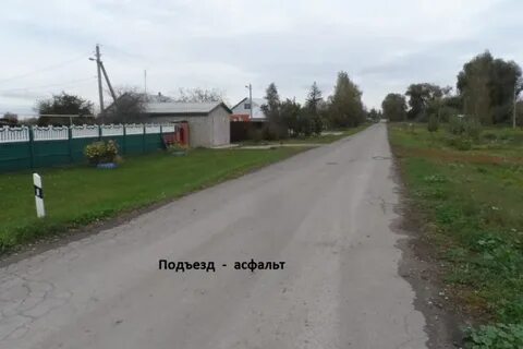 Добрые пчелы рязанская область