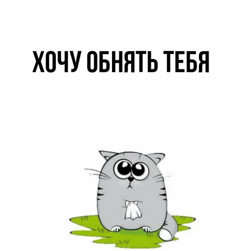 Открытка хочу новое. Хочу внимания открытка. открытка хочу к тебе кот. хочу обнимать не подушку а тебя котик.