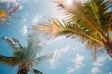 Summer air