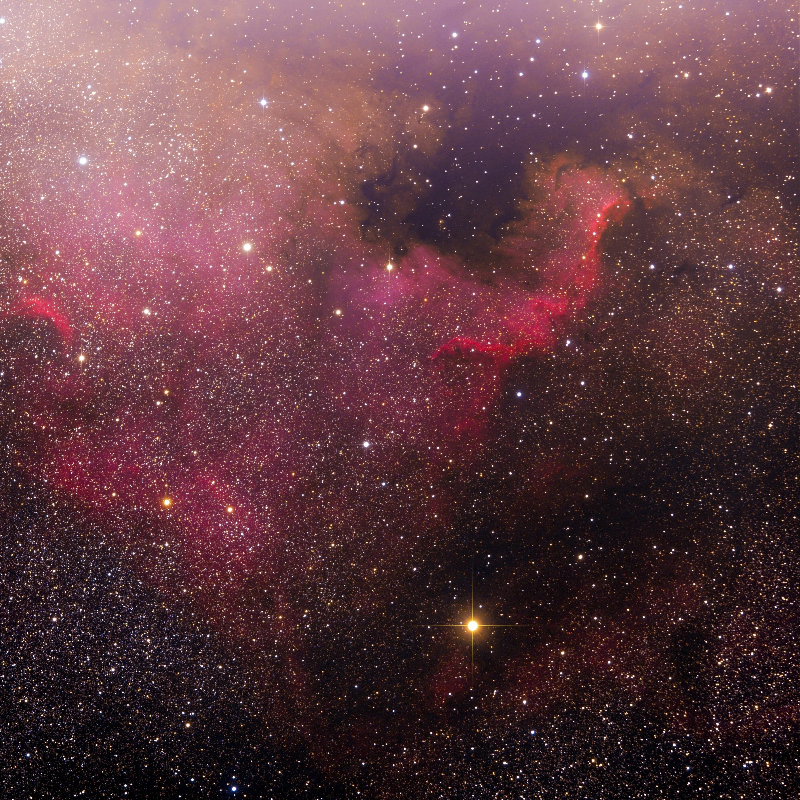 Зеленый призрак. Изображения природы 200px. Изображение размером 315 3072 пикселей. 3072х3072 пикселей. Гиря.