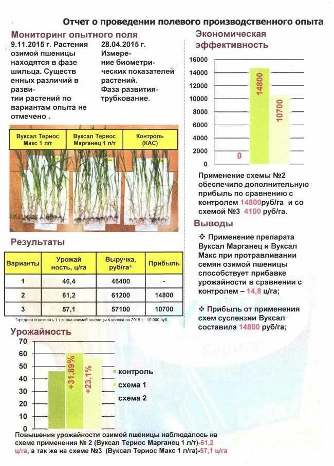 Глубина посева пшеницы. Период вегетации озимой пшеницы. Фазы вегетации озимой пшеницы. Фенофазы озимой пшеницы. Глубина засеивания озимой пшеницы.