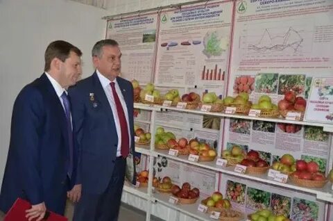 Институт плодоводства