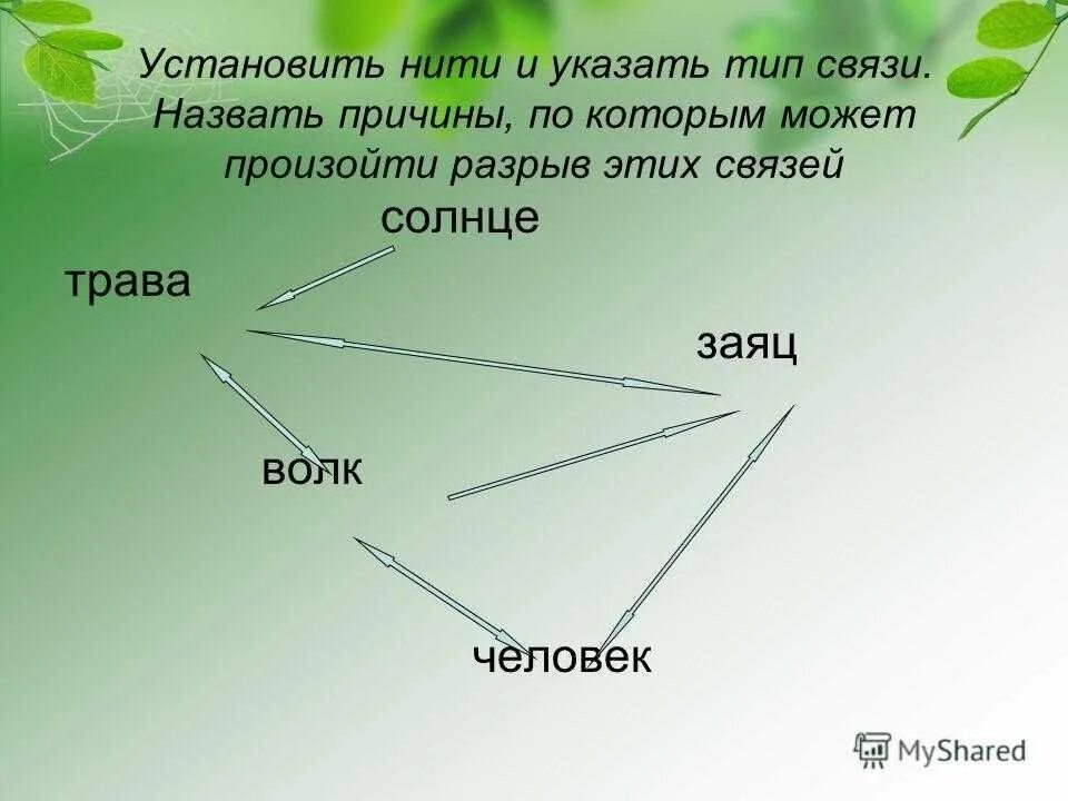 Невидимые нити схема. Невидимые нити в весеннем лесу. Невидимые нити в весеннем лесу 2 класс. Невидимые нити в лесу весной. Схема невидимых нитей в весеннем лесу