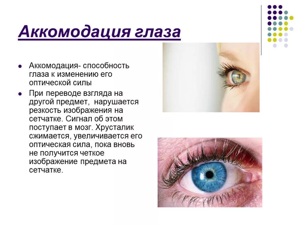 Глаз как переводится. Аккомодация глаза. Аккомодация это способность глаза. Аккомотодивная способность глаз. Аккомодационные структуры глаза.