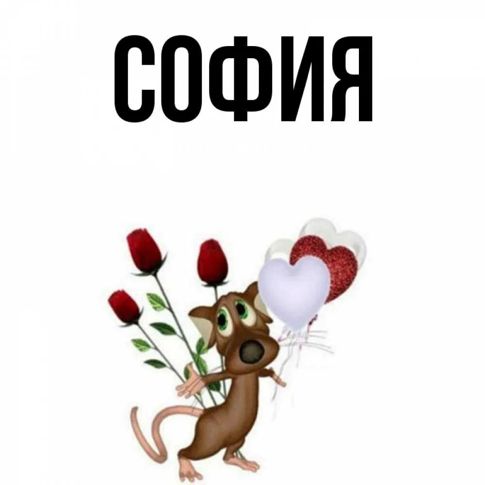 София Интерьерные слова-3. Сувениры