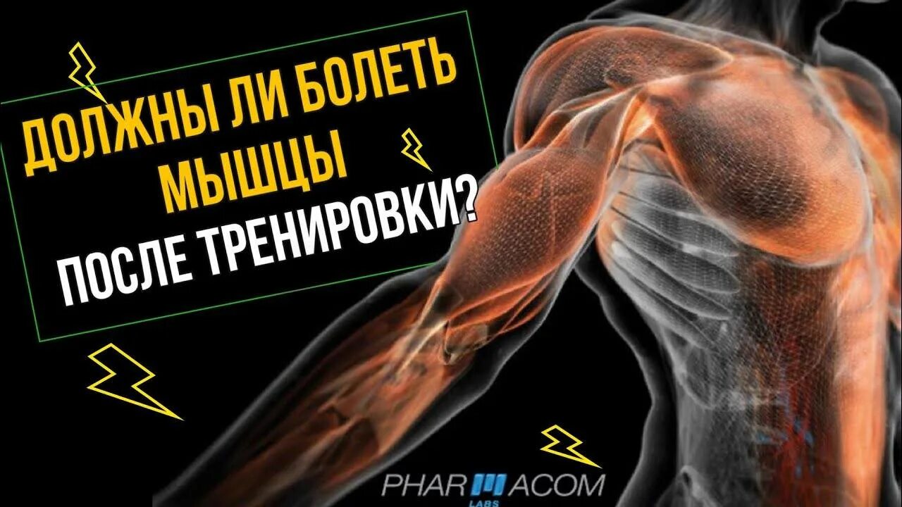 Что значит если после тренировки болят мышцы. Мышцы после тренировки. крепатура мышц что это. должны ли болеть мышцы после тренировки. микроразрывы мышц после тренировок.