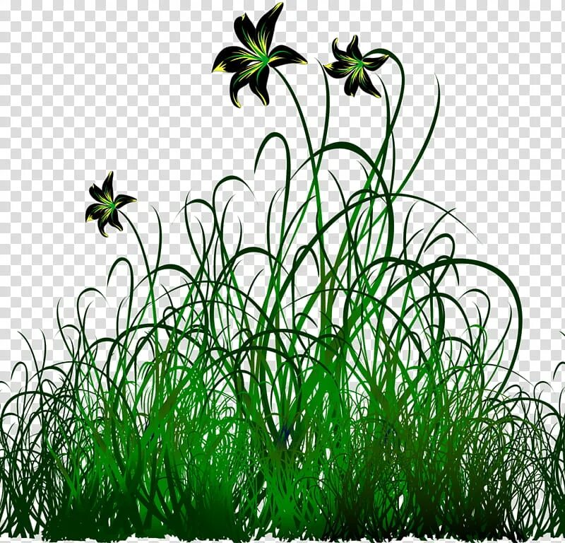 Grass plant. Трава рисунок. Трава рисунок для детей. Растения без фона. Трава нарисованная.