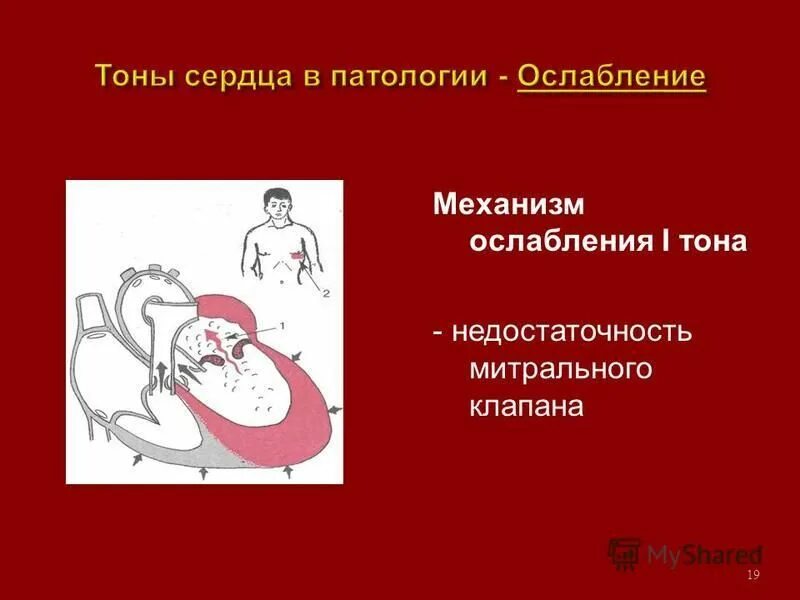 Heart тону. Heart тону. Сердце с цветами эскиз. Анатомическое сердце с цветами. Heart тону.
