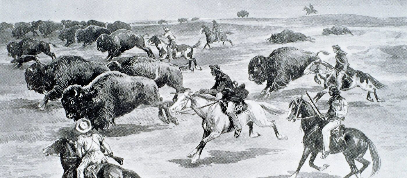Индейцы охотники на бизонов. Индейцы Команчи охотники Северной Америки-. Гора черепов бизонов. Дикий Запад бизоны. Охота на бизона 2023