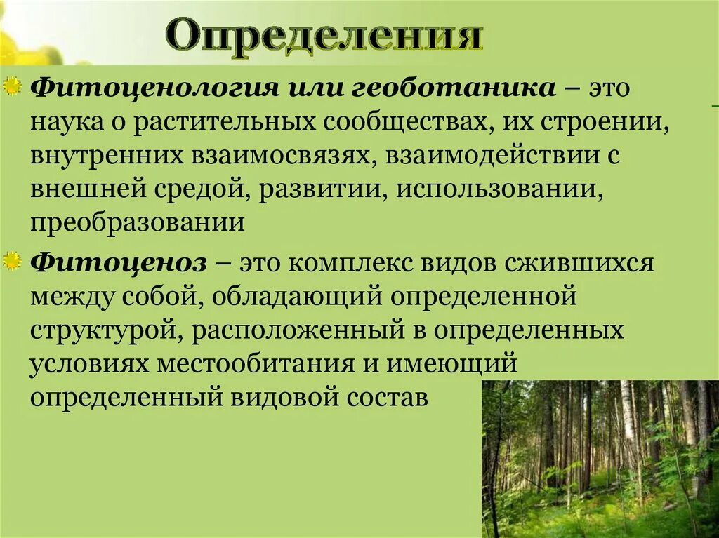 7 кл растительные сообщества. Геоботаника (фитоценология). Структура фитоценоза. Искусственный фитоценоз. Растительные сообщества.