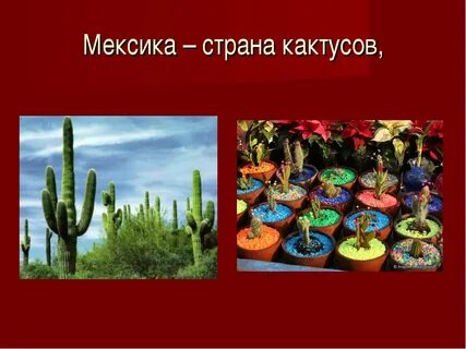 Особенности мексики