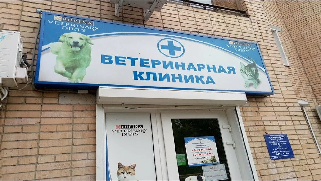 Ветаптека 1 на достоевской. Ветаптека в новотроицке. Ленина 127 альметьевск. Ветеринарный магазин. Ветаптека сургут.