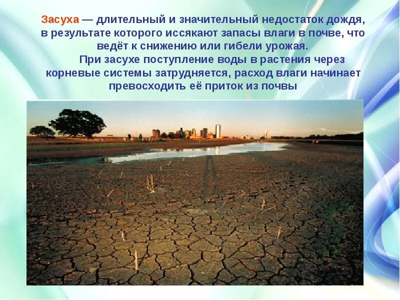 Засуха это определение. Что такое засуха кратко. Причины возникновения засухи. Причины засухи в России.