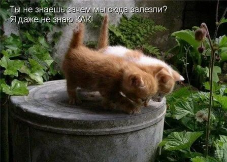 Ты зачем сюда полез