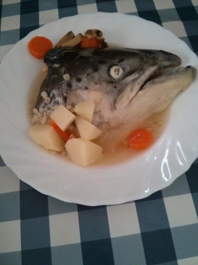 Уха из кеты. Голова лосося. Рыбьи головы рецепт. Северная уха. Уха рыбная.